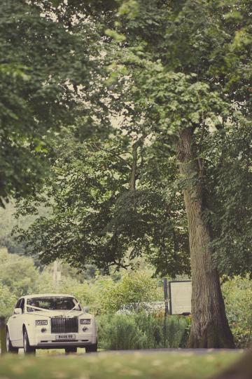 - The Elms