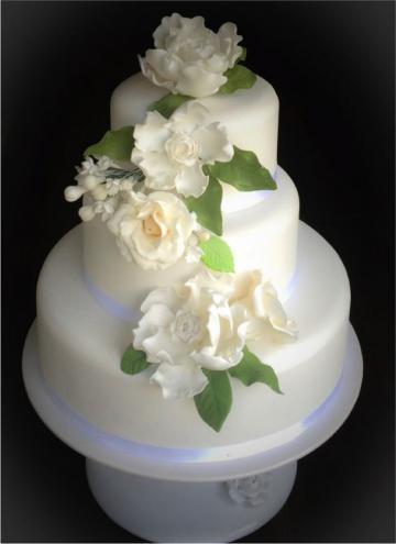 - Peace of Cake