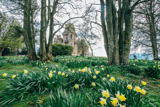- Cornhill Castle
