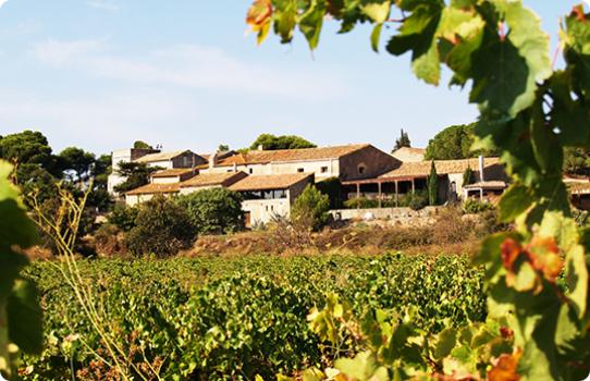 - Château le Bouïs