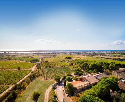 - Château le Bouïs