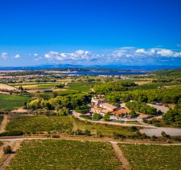 - Château le Bouïs