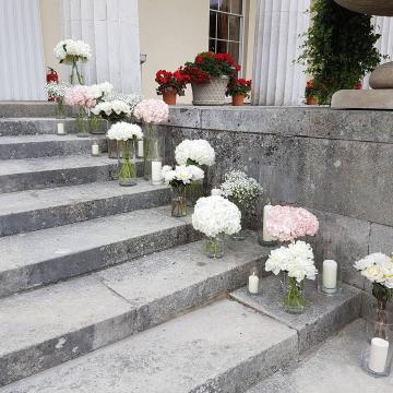 - FLORIBUNDI
